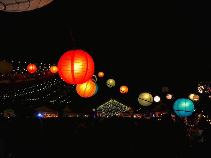 Flea lights 2