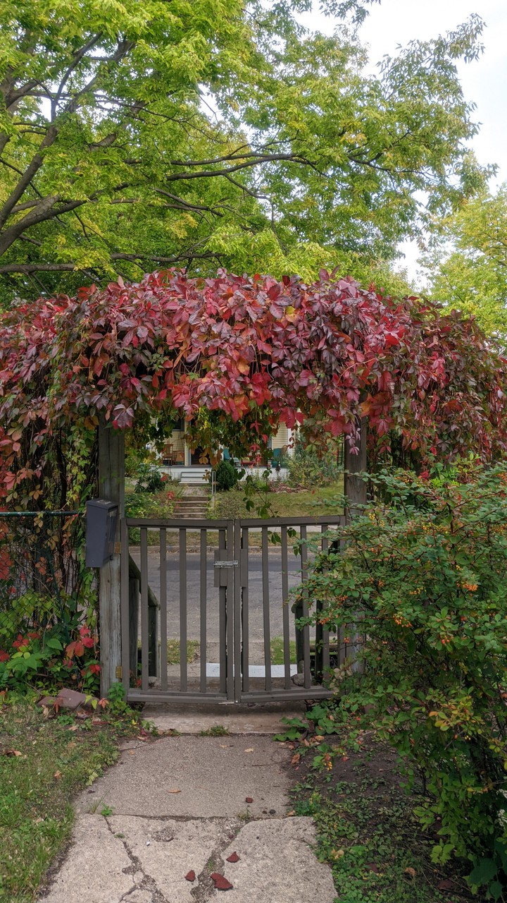 fall