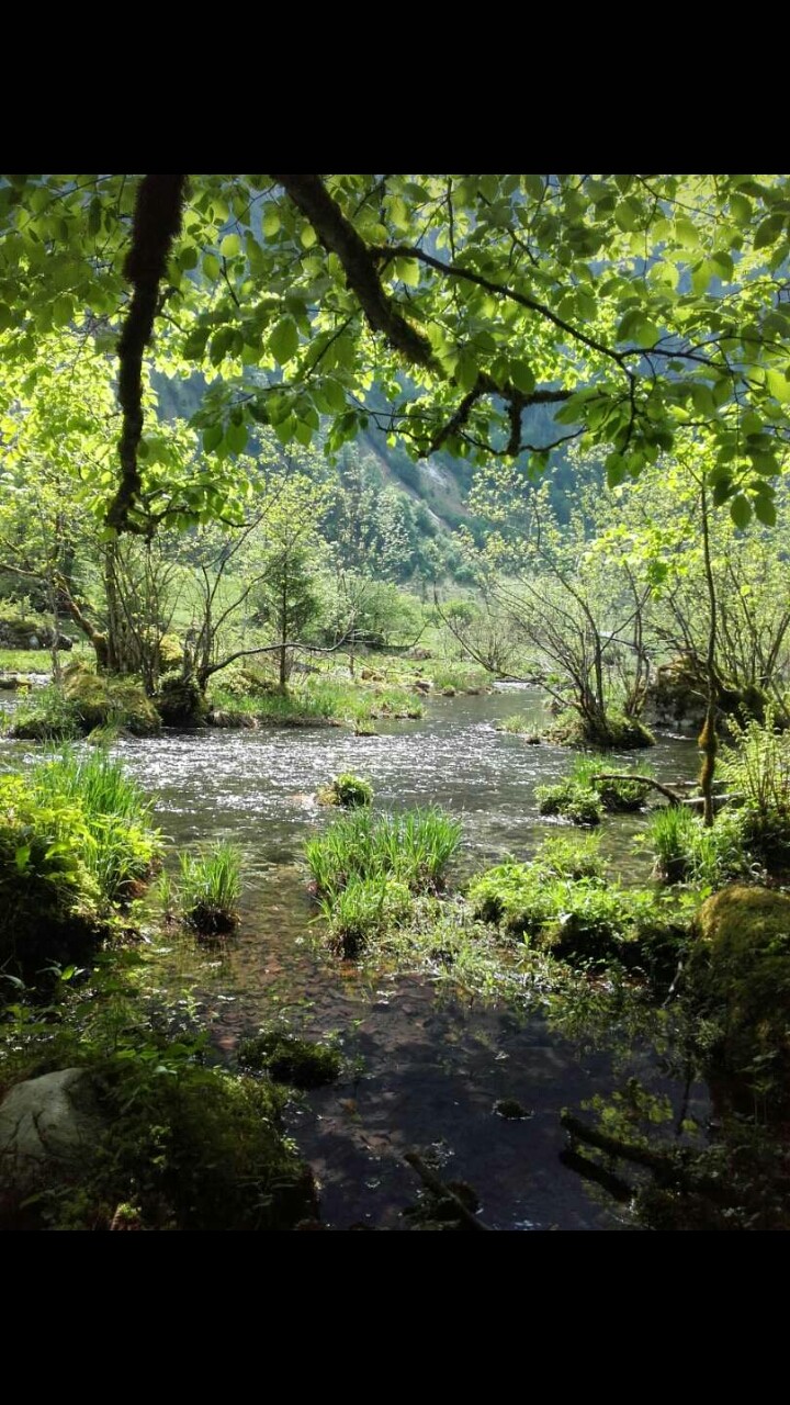 wilderness