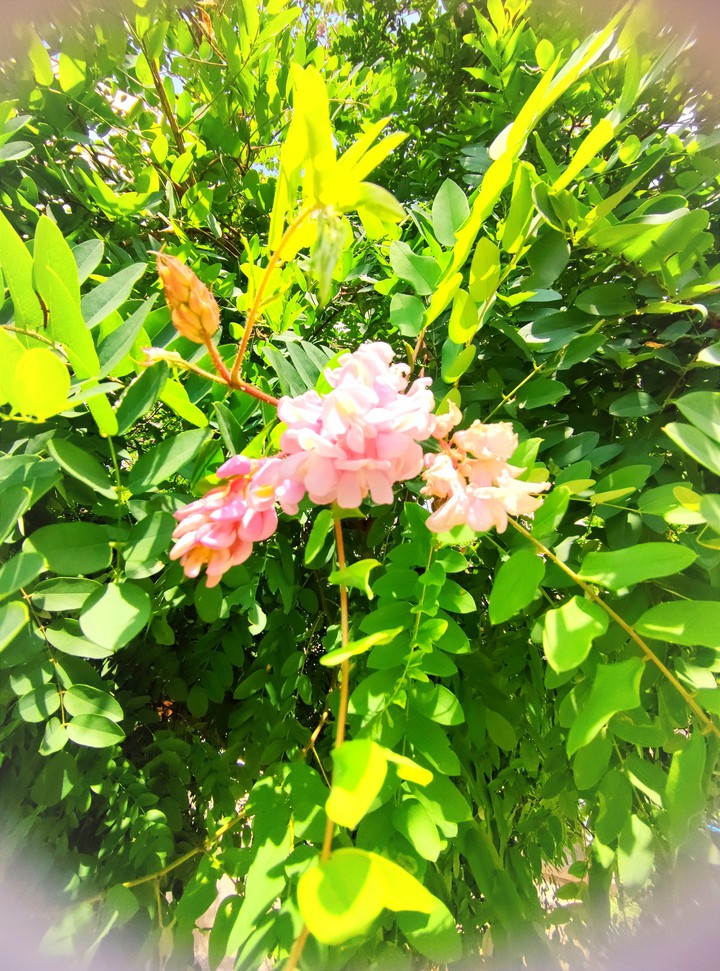 summer