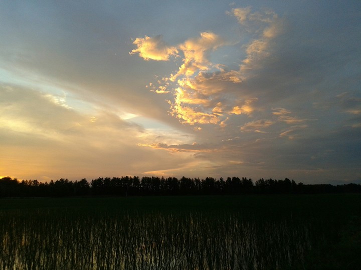 Face on the sky
