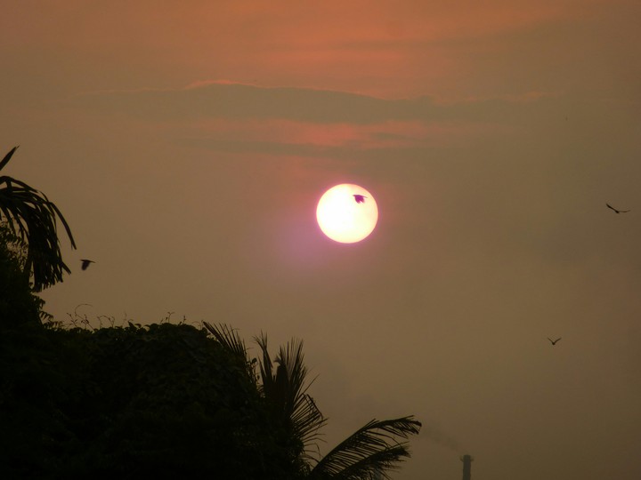 An Evening