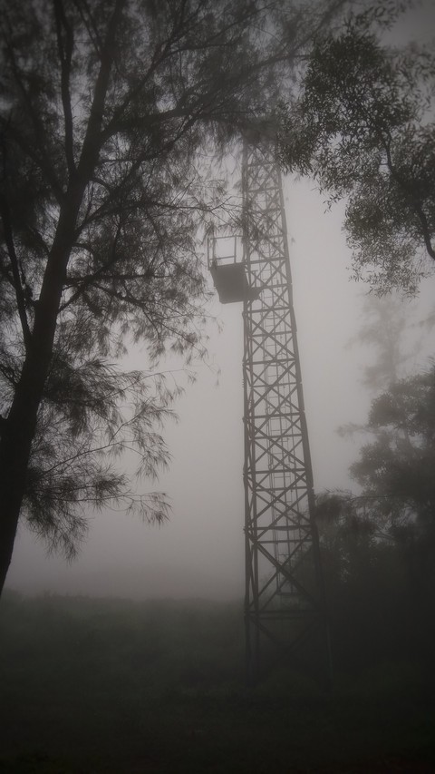 Fog