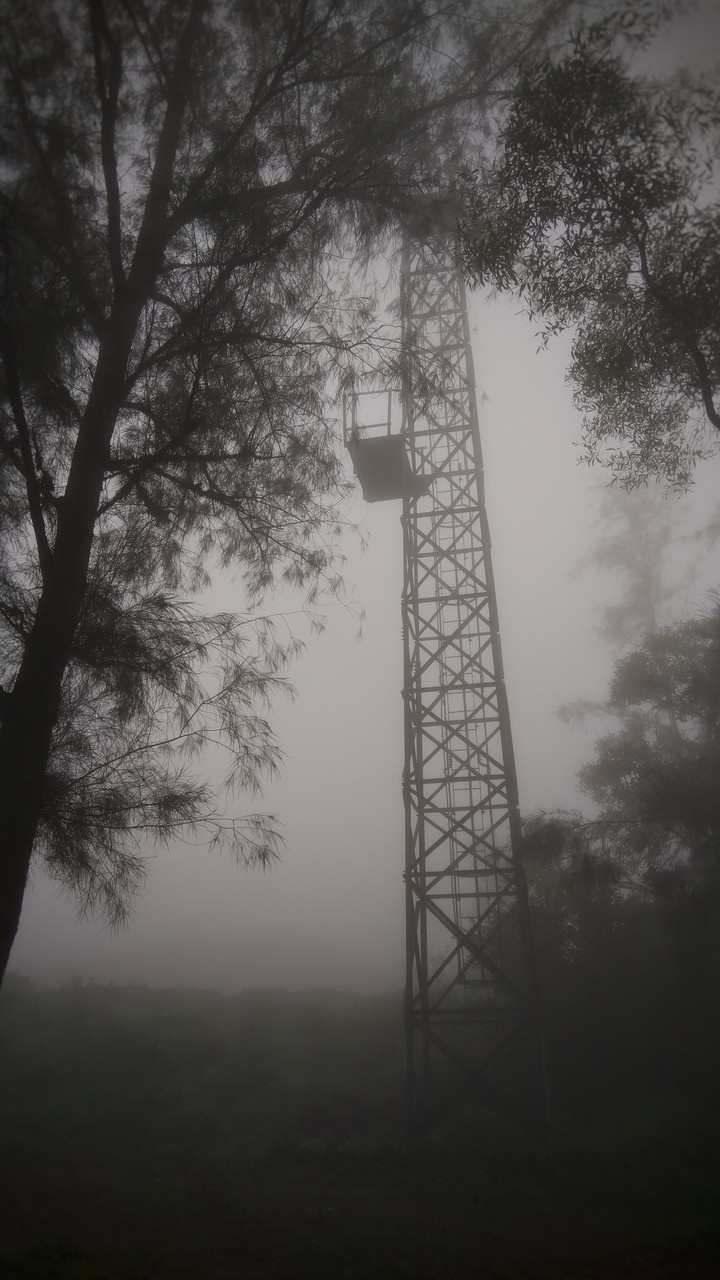 Fog