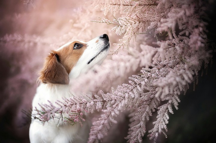 Stop by to Smell the Flowers