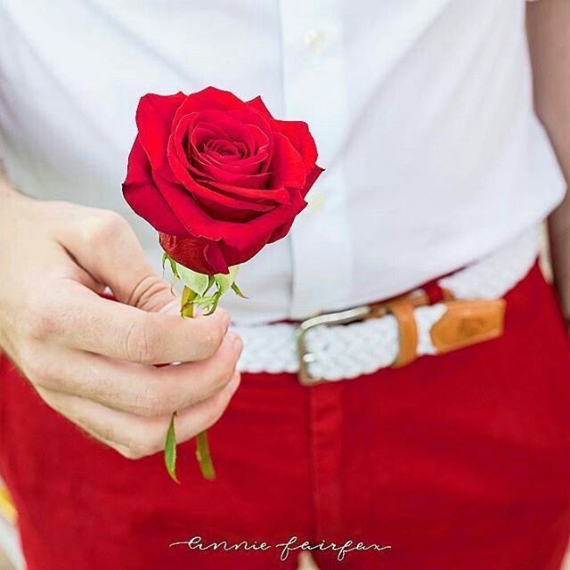 rose love