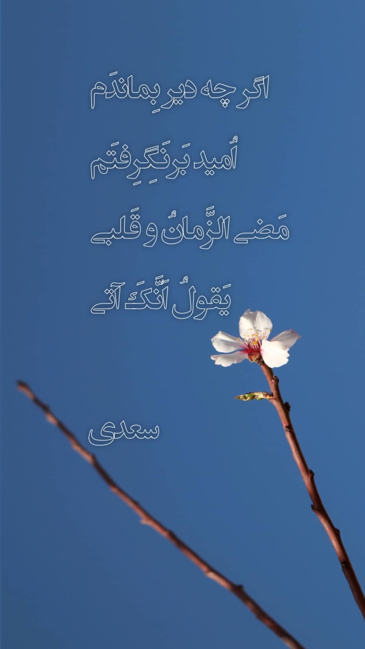 Spring blossom, Saadi quote, Iranian poet