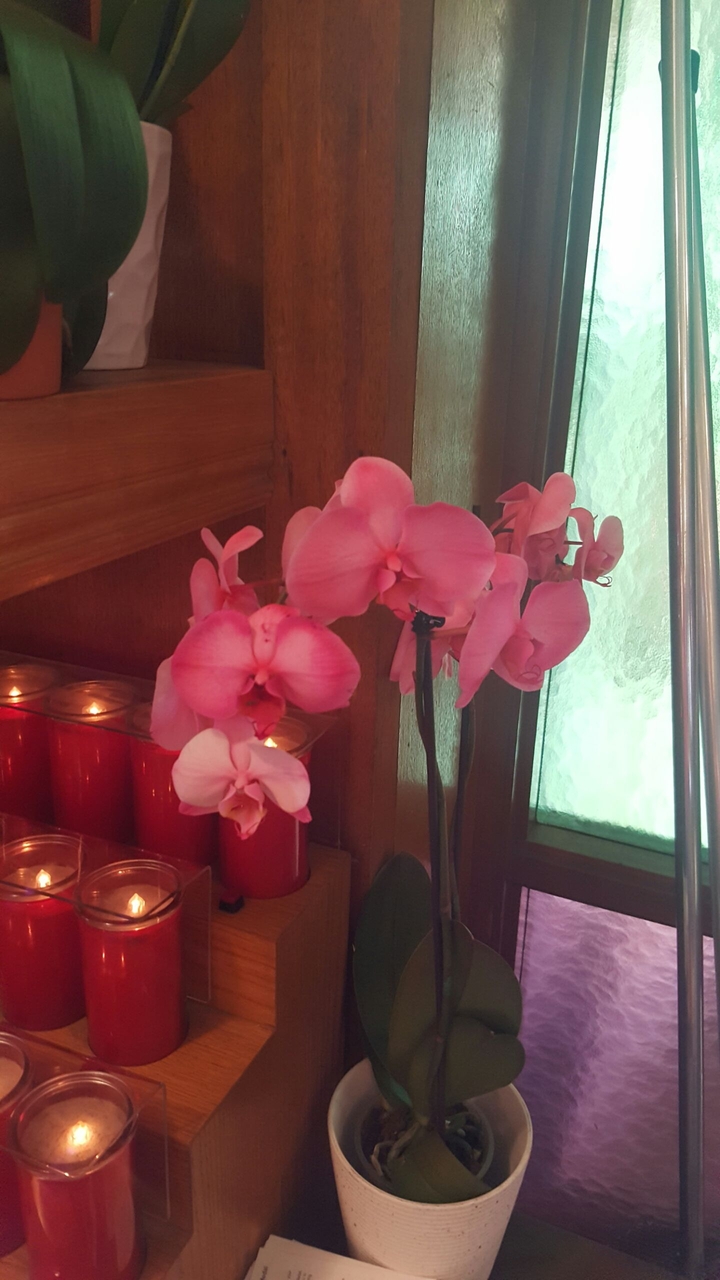 Pink Orchid and Red Candles