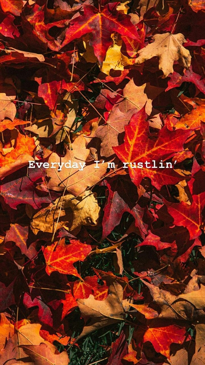 Autumn