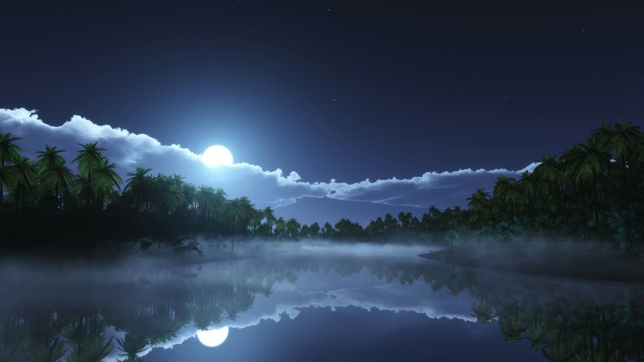 Melody of the Night.