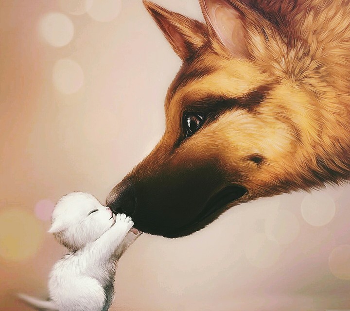 cute