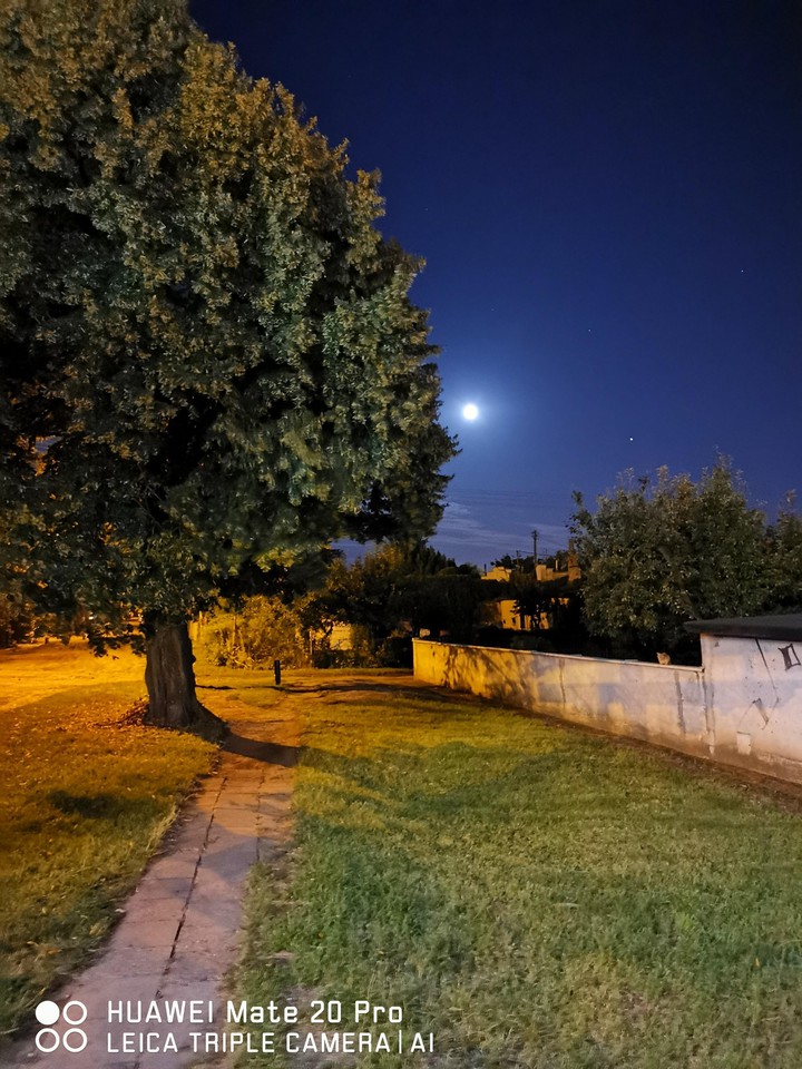 moonlight