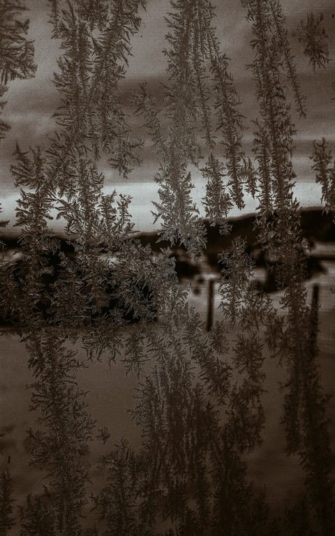 When ice turns into a little artwork.