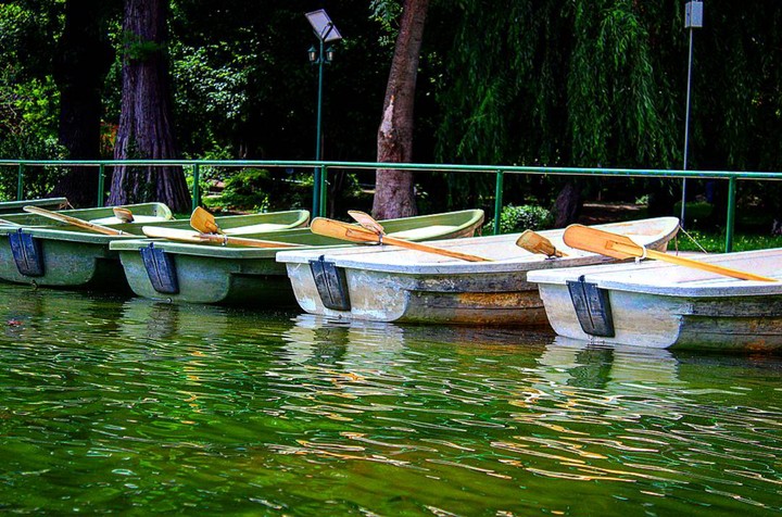 Boats waiting for somebody