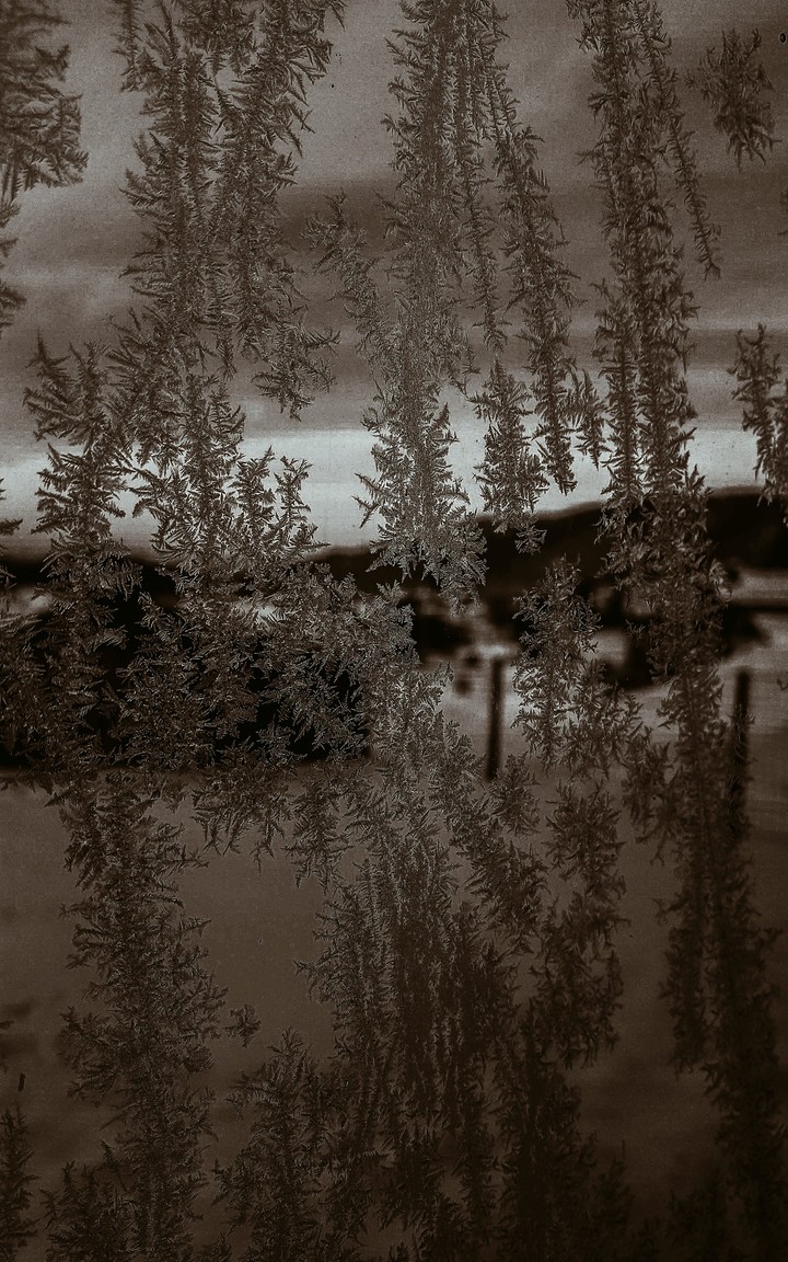 When ice turns into a little artwork.