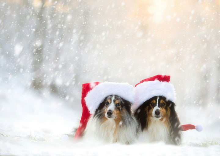 snowy day