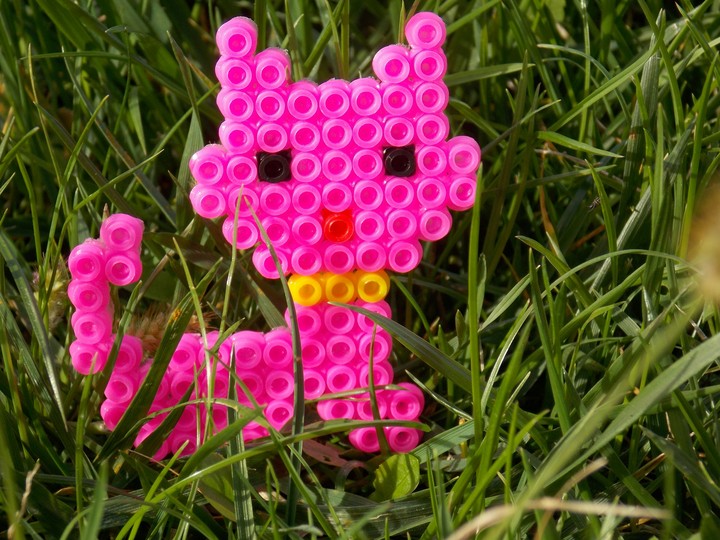 Pink kitty