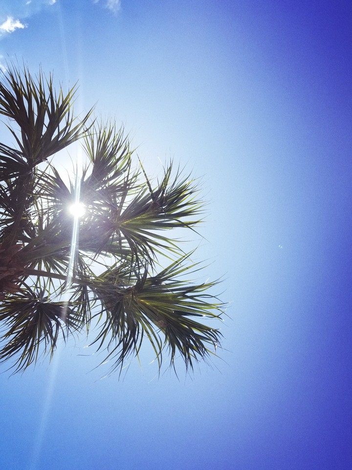 A Florida Weekend