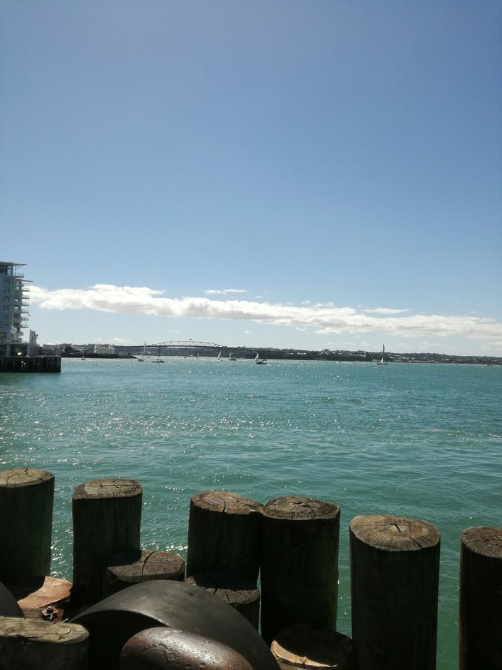 The harbour