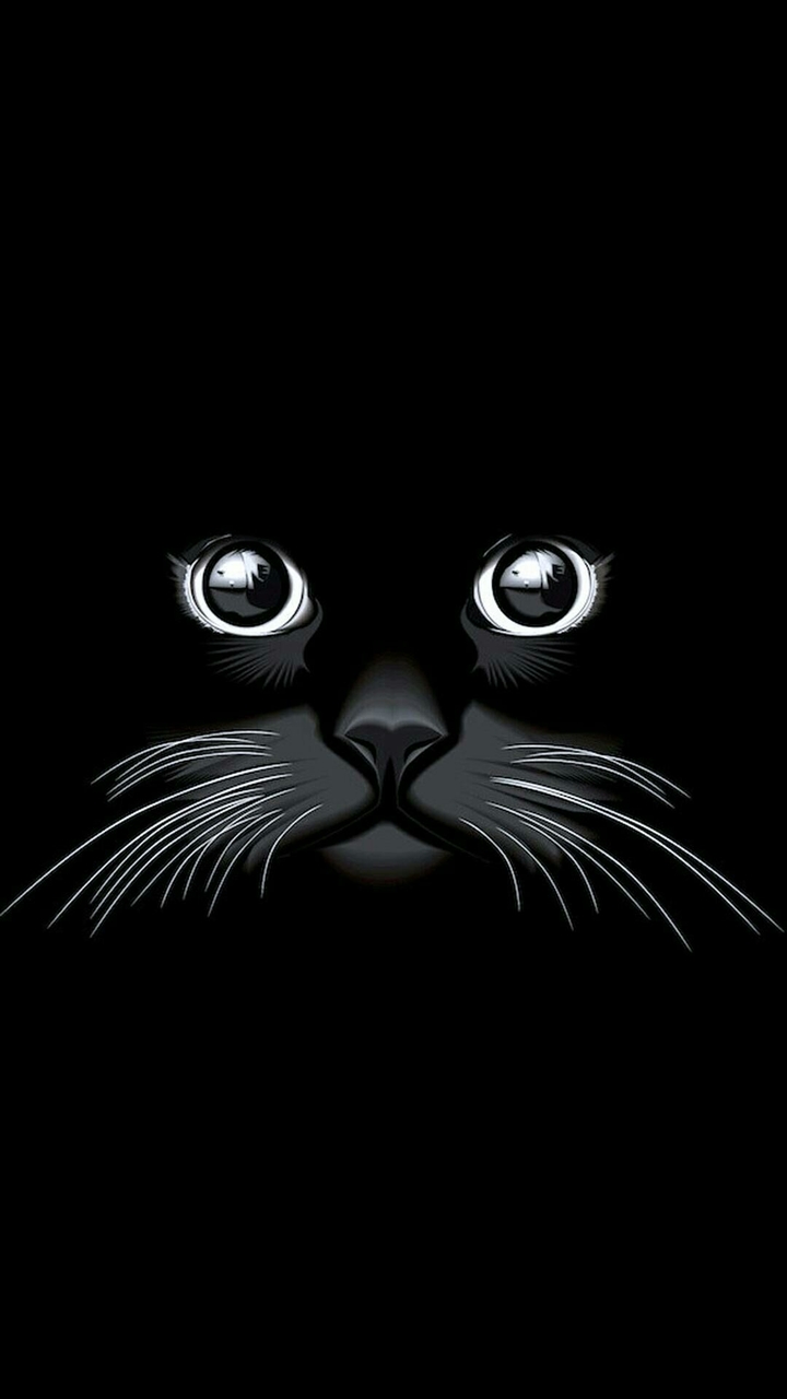 black kat
