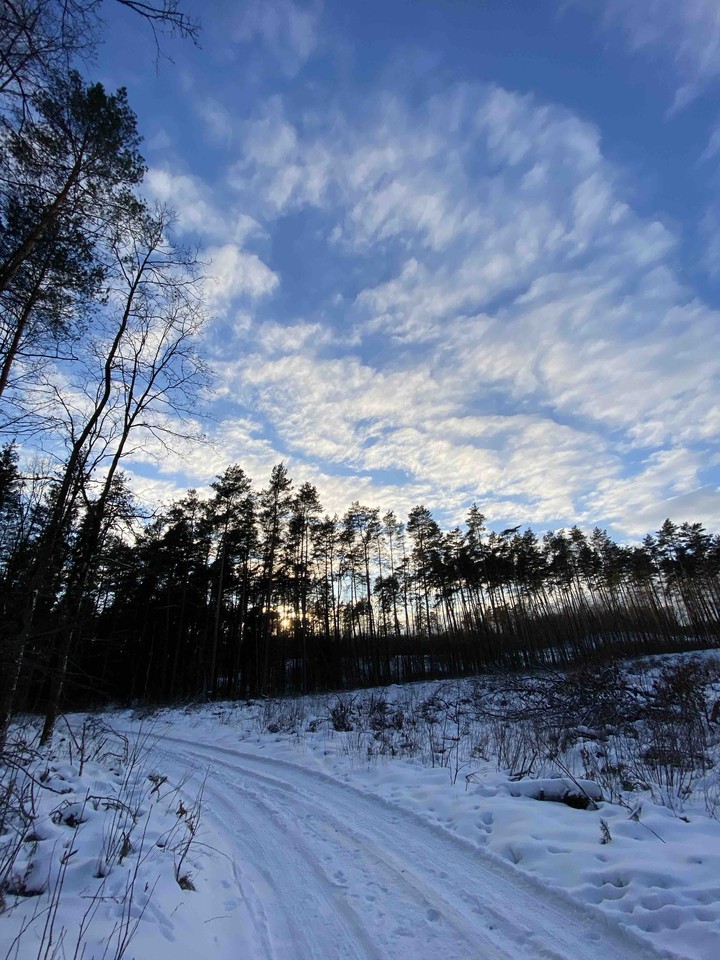 winter
