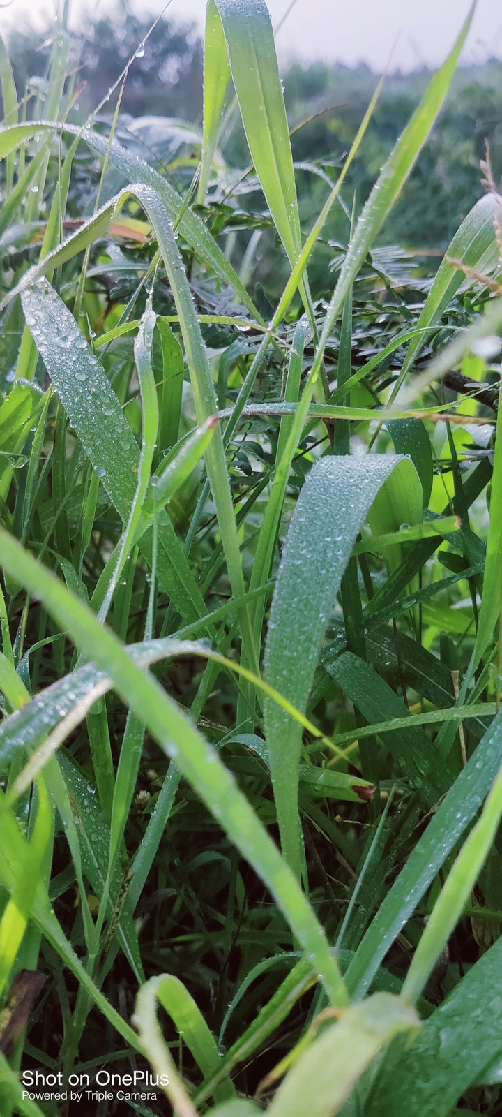 during rain