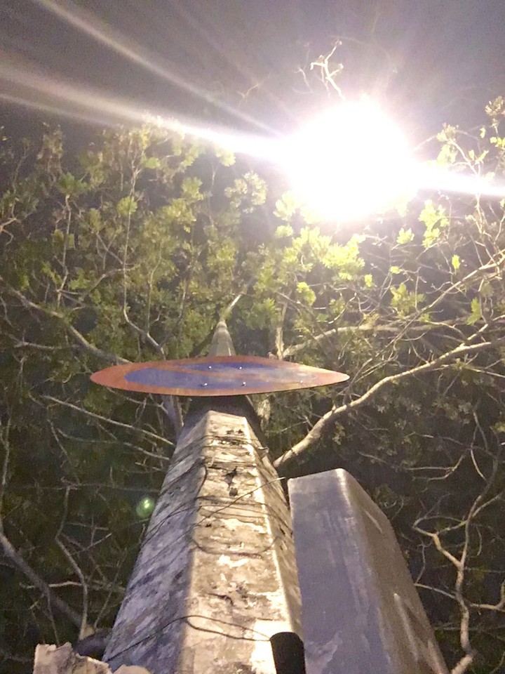light