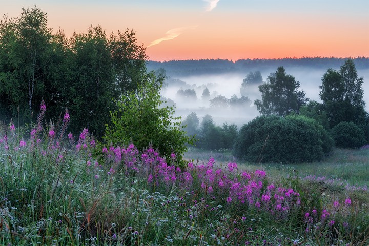 morning fog...