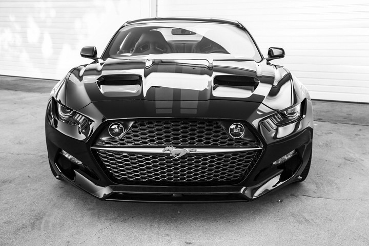 Mustang
