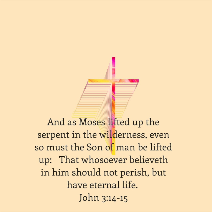JOHN 3:14,15