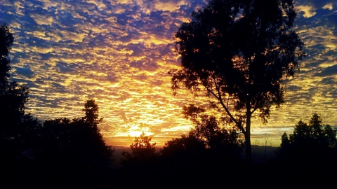 #Atardecer #Campo #Sunset #Forest #Trees #Clouds