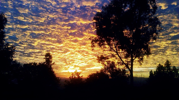 #Atardecer #Campo #Sunset #Forest #Trees #Clouds