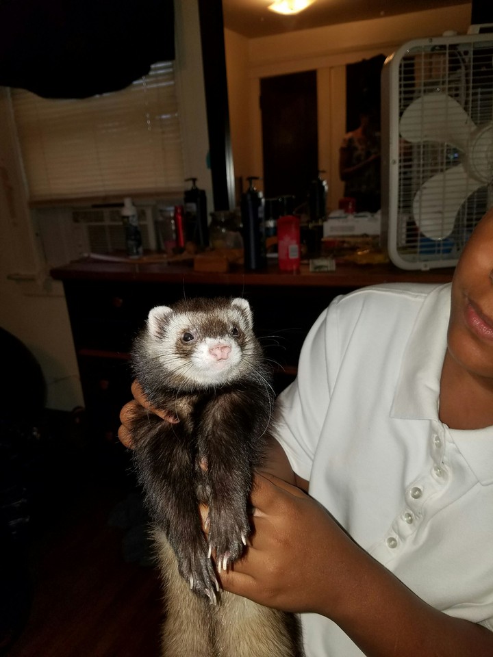 Oliver