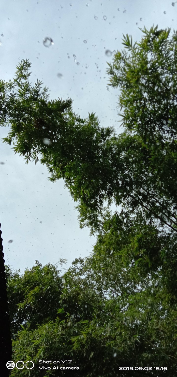 rain drops