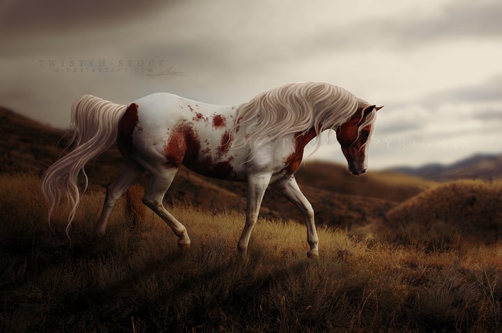 hors