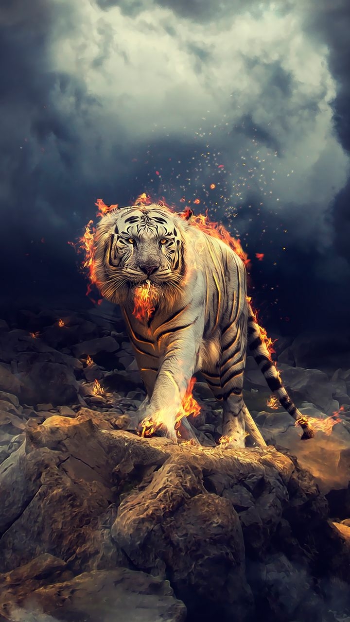 Tiger 