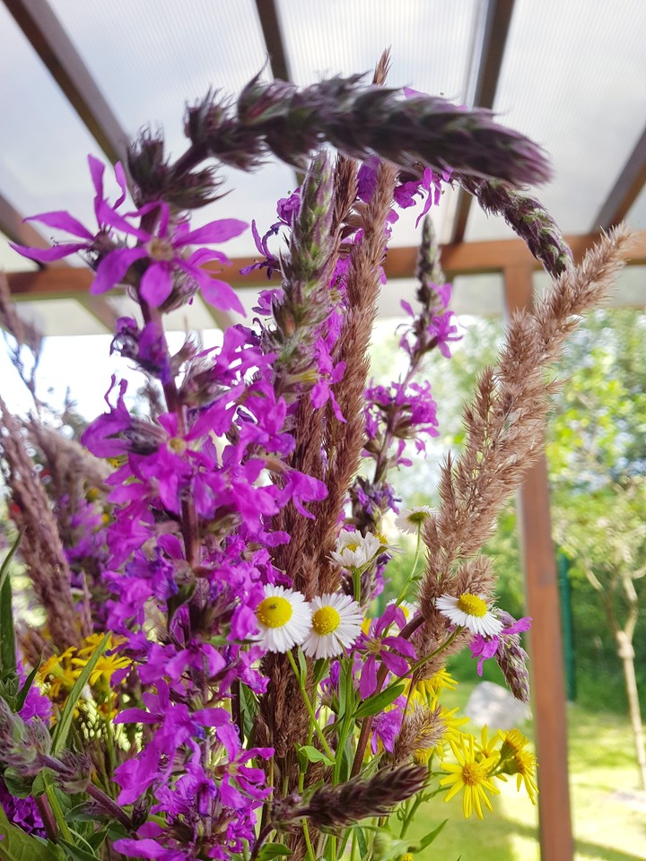 flowers