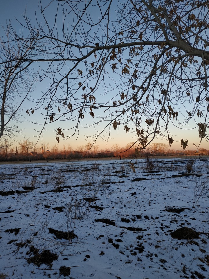 snow