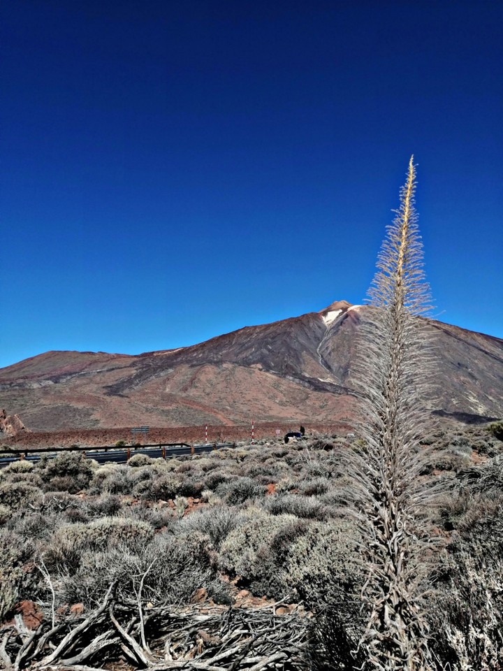 Teide