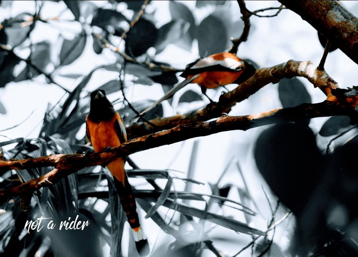 just a click
