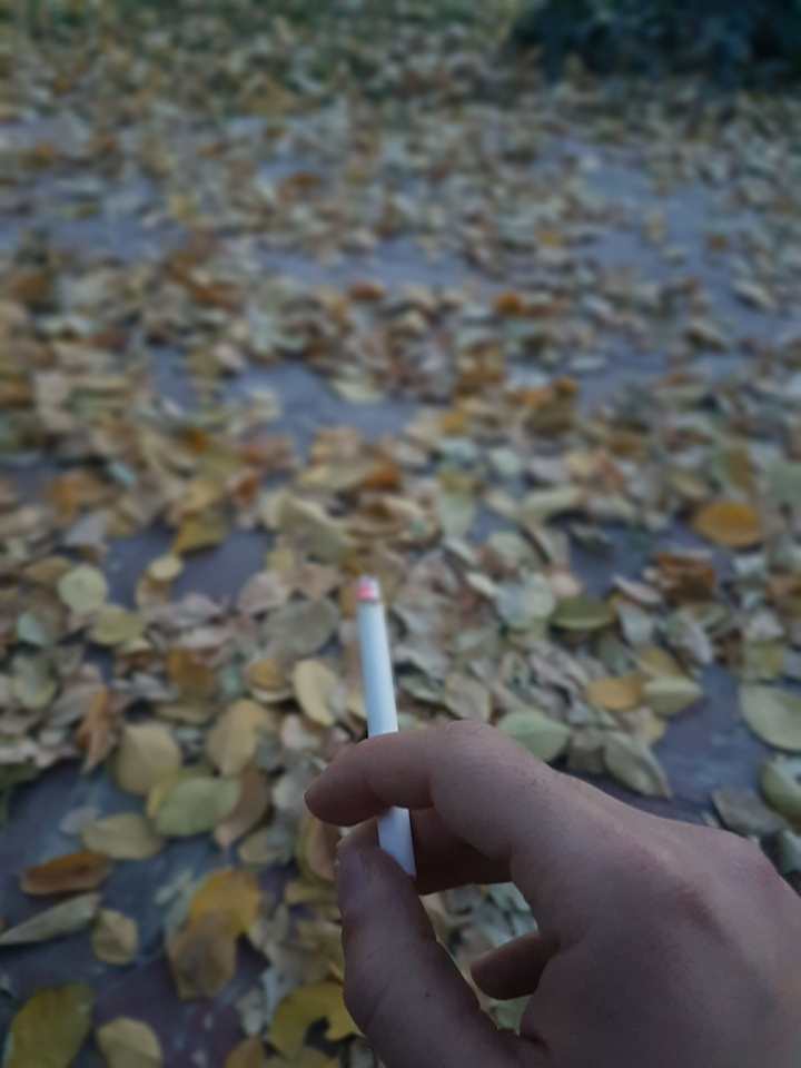 fall smoke