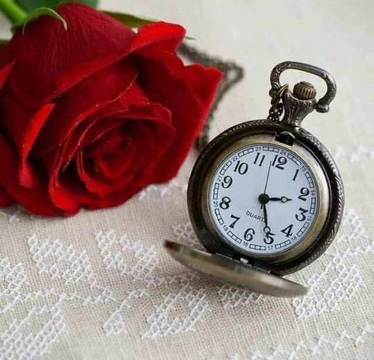 rose