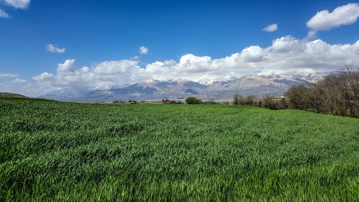 morderaz