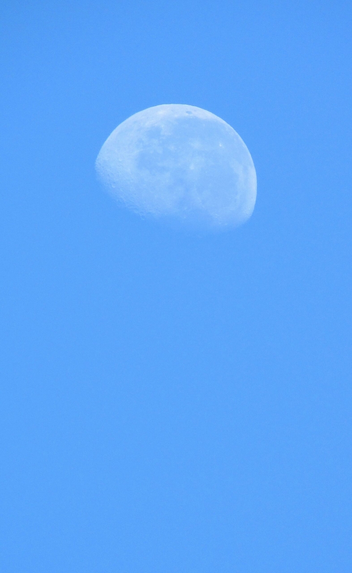 Moon