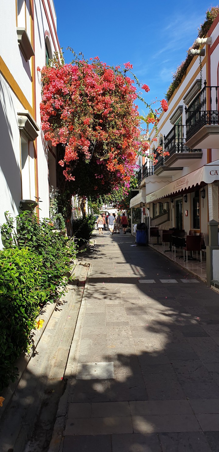 Grand Canaria