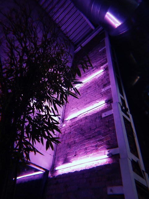 Neon