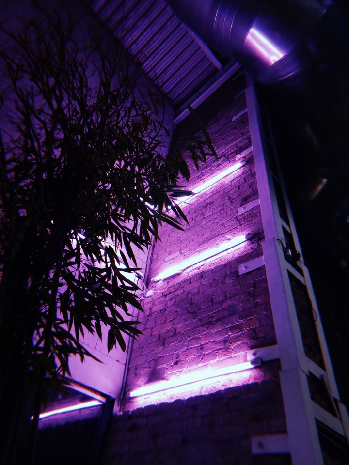 Neon