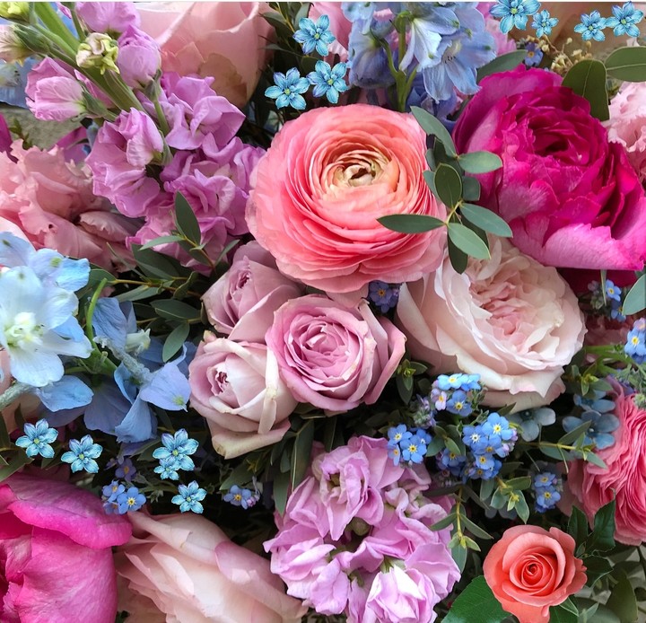 blossom art