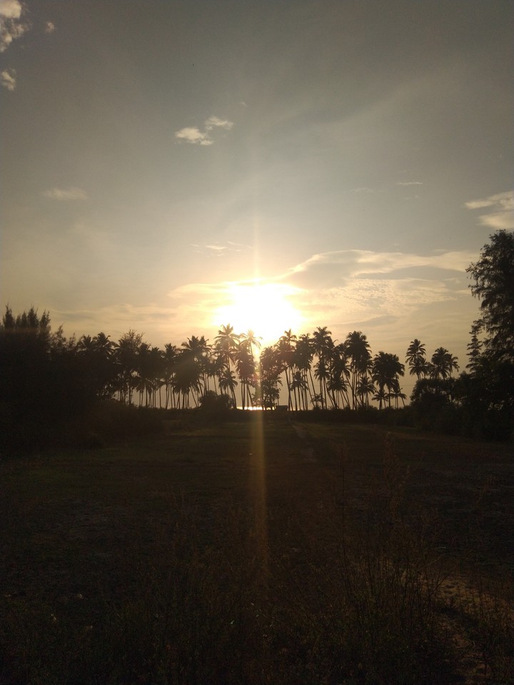 Sun love