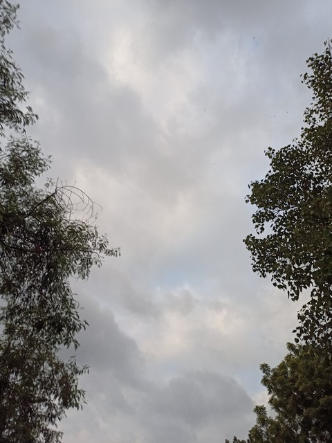 cloud